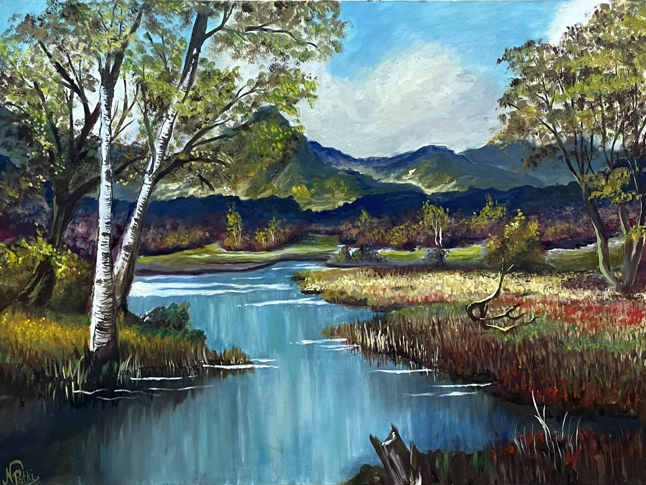 A landscape of a river and mountains